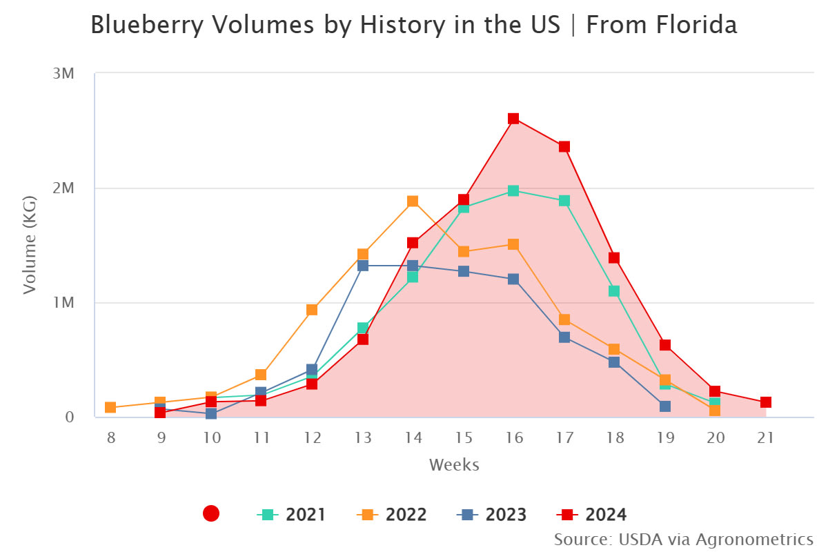 blueberry volumes by his 1